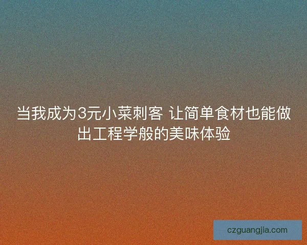 当我成为3元小菜刺客 让简单食材也能做出工程学般的美味体验
