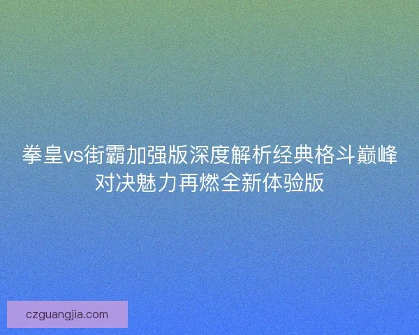 拳皇vs街霸加强版深度解析经典格斗巅峰对决魅力再燃全新体验版